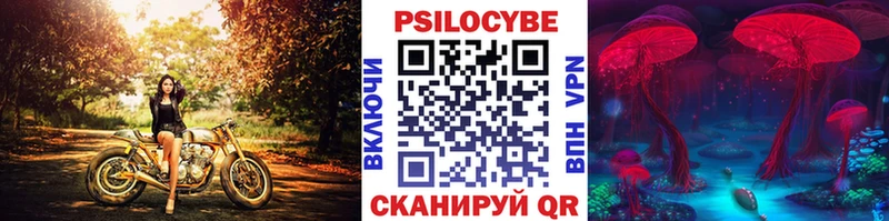 Галлюциногенные грибы Cubensis  Кондрово 